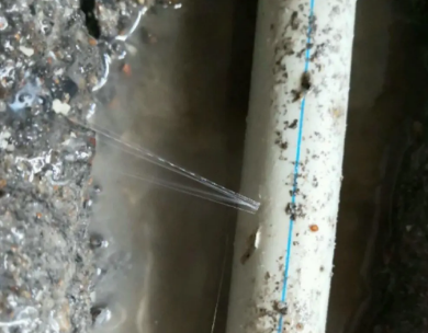 余干测漏水哪家好