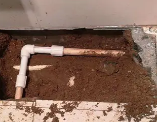 余干测漏水哪家好