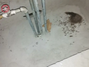 余干卫生间测漏水价格明细