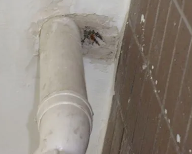 余干漏水检测哪家好